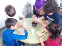 Creo mi semillero 3ºB